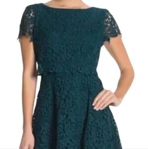 Shani Popover Bodice Fit and Flare Embroidered Dress